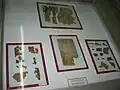 Fragments of the Dead Sea Scrolls on display at the Archeological Museum, Amman