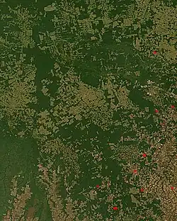 NASA FIRMS satellite observation of deforestation in the Mato Grosso state of Brazil. Transformation from forest to farm is evident by lighter square shaped areas.