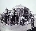 Elephant Carriage of the Maharaja of Rewa, Delhi Durbar of 1903