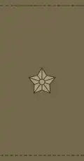 Sekondløjtnant (Royal Danish Army)[27]