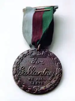 Bronze medal encircled in a laurel wreath and inscribed "PDSA For Gallantry We Also Serve" held from a ring suspender by a ribbon consisting of three equal vertical stripes of white, red, and green