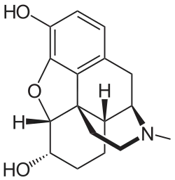 Chemical structure of Dihydromorphine 2D structure.