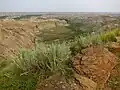 Dinosaur Provincial Park