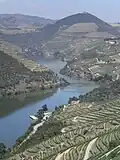 The river near Régua, Portugal