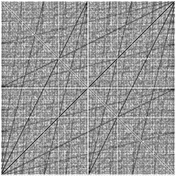 Dyadic transformation xy plot where x&nbsp;=&nbsp;x0&nbsp;∈&nbsp;[0, 1] is rational and y&nbsp;=&nbsp;xn for all&nbsp;n