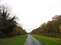 An empty drive runs into the distance, with lawns and banks of trees on each side
