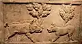Roman relief of a dog confronting a boar, Cologne