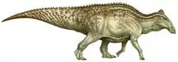 Edmontosaurus sp.