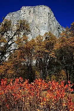El Capitan with autumn-colored trees in the foreground
