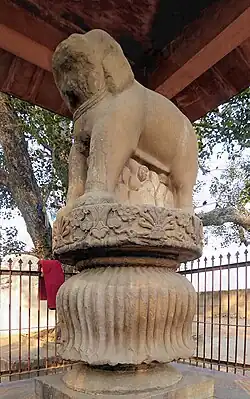 Sankissa elephant.