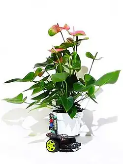 A peace lily with pink flower and green leaves in a white pot atop a wheeled robot. An electronic package on the right side of the pot connects the robot to the plant.