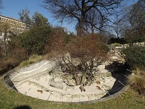 Enclosure for mongooses