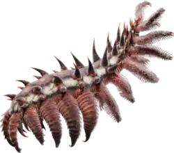 The lobopod-like luolishaniids from the Cambrian and Ordovician are possibly the closest fossil relatives of tardigrades. Entothryeos reconstruction shown.[56]