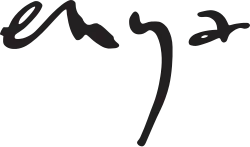 Enya logo, letters 'e n y a' stylised