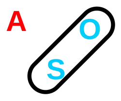 A diagram with S and O circled together, with "A" off to the side.