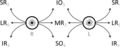 Schematic demonstrating the actions and cranial nerve innervation (in subscript) of extraocular muscles