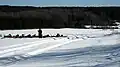 Nordic Rifle Field Shooting in Sweden during the winter in 2012