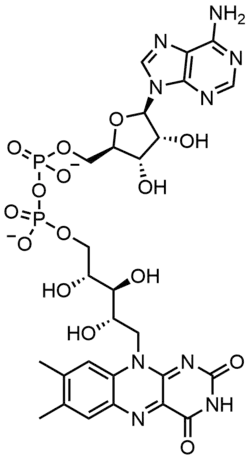 Stereo, Kekulé, skeletal formula of FAD