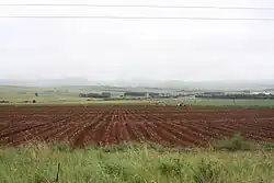 Recently planted fields in Mpumalanga
