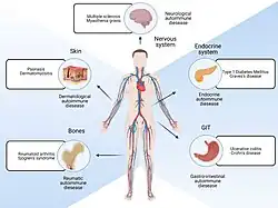 Different locations of the body that are Bubble Marin