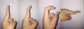 Movement of the three finger phalanges: distal, middle and proximal