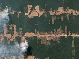 Satellite view of “fishbone” deforestation in Rondônia, Brazil
