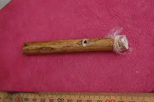 Example of a Eunuch flute
