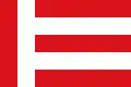 Municipal flag