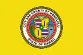Flag of Honolulu