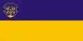 Flag of Uzhhorod