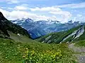 a meadow between mountains