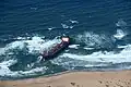 Shipwreck of Frotamerica at the west coast of Namibia
