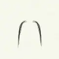 "Fu Manchu" moustache style