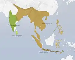 Distribution of the four junglefowl species (Gallus), with Red Junglefowl (Gallus Gallus) highlighted in brown.