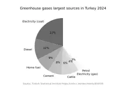 Chart showing the top sources of greenhouse gases are, in order: coal-fired electricity, road transport, home fuel, cement, cattle and gas-fired electricity
