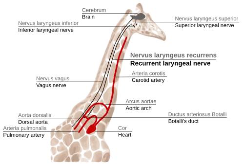 Figure 2f