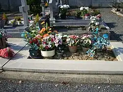 Several bunches of flowers in pots placed atop a grave