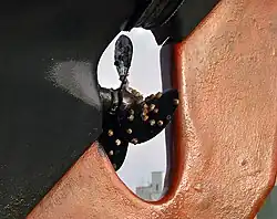 Barnacles on a boat propeller
