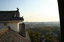 The castle rooftops and surrounding city