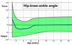 Hip-knee-ankle angle by age, with 95% prediction interval.[42]