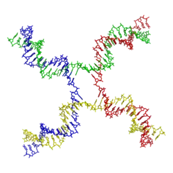 Molecular structure of a Holliday junction. From PDB: 3CRX.
