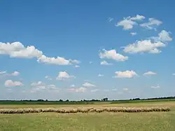 Steppe in Hungary