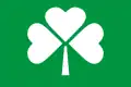 House flag of Irish Continental Line (1978–1988)