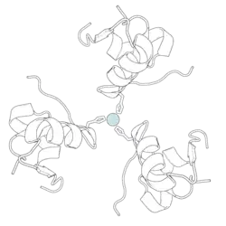 Black-and-white ribbon diagram of a pig insulin hexamer, showing its characteristic quaternary structure. At the center is a pale blue-gray sphere representing a zinc atom.