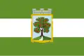 Flag of Jablonec nad Nisou