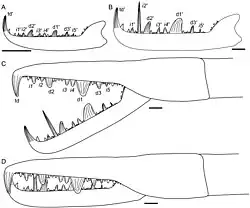 Illustrations of the claws of Jaekelopterus