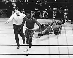 Ali on the canvas