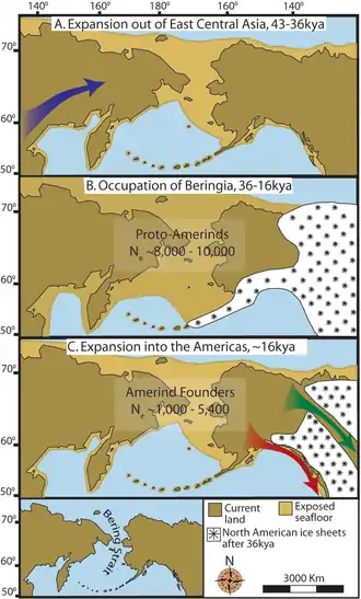 "Maps depicting each phase of the three-step early human migrations for the peopling of the Americas. (A) Gradual population expansion of the Amerind ancestors from their Central East Asian gene pool (blue arrow). (B) Proto-Amerind occupation of Beringia with little to no population growth for ≈20,000 years. (C) Rapid colonization of the New World by a founder group migrating southward through the ice-free, inland corridor between the eastern Laurentide and western Cordilleran Ice Sheets (green arrow) and/or along the Pacific coast (red arrow). In (B), the exposed seafloor is shown at its greatest extent during the last glacial maximum at ≈20–18,000 years ago [25]. In (A) and (C), the exposed seafloor is depicted at ≈40,000 years ago and ≈16,0000 years ago, when prehistoric sea levels were comparable. A scaled-down version of Beringia today (60% reduction of A–C) is shown in the lower-left corner. This smaller map highlights the Bering Strait that has geographically separated the New World from Asia since ≈11–10,000 years ago."