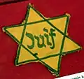 The yellow Star of David made mandatory by the Vichy regime in France.