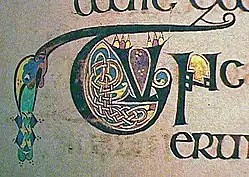 section of page focused on decorated initial filled with knotwork